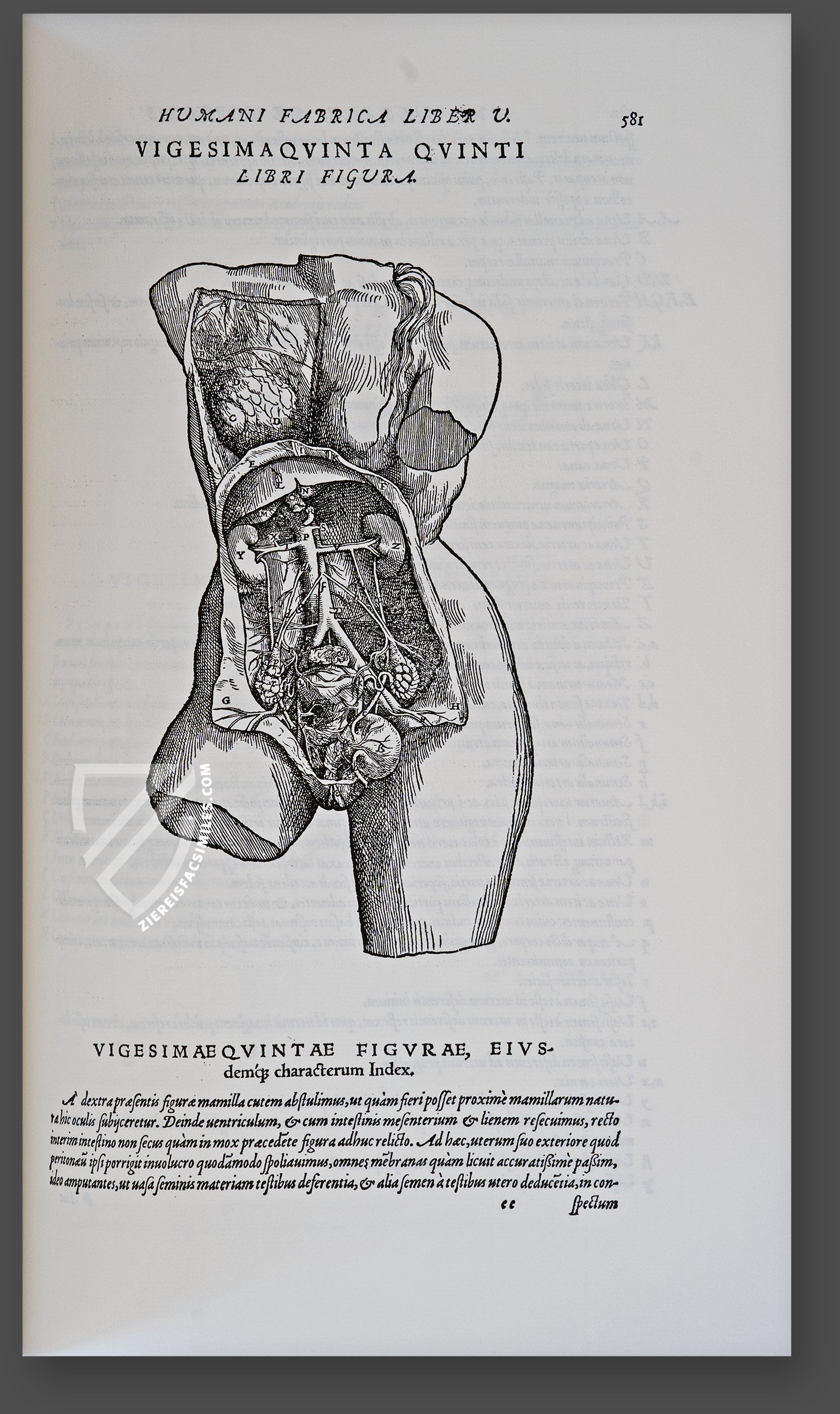 Vesalius – anatomy.edwardworthlibrary.ie ©