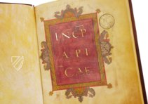 Apicius - De re coquinaria – Imago – Urb.lat. 1146 – Biblioteca Apostolica Vaticana (Vatican City, State of the Vatican City)