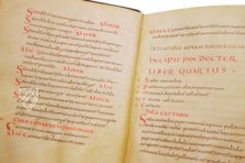 Apicius - De re coquinaria β Imago β Urb.lat. 1146 β Biblioteca Apostolica Vaticana (Vatican City, Vatican City State) Apicius - De re coquinaria β Imago β Urb.lat. 1146 β Biblioteca Apostolica Vaticana (Vatican City, Vatican City State)