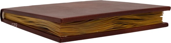 Apicius - De re coquinaria β Imago β Urb.lat. 1146 β Biblioteca Apostolica Vaticana (Vatican City, Vatican City State) Apicius - De re coquinaria β Imago β Urb.lat. 1146 β Biblioteca Apostolica Vaticana (Vatican City, Vatican City State)