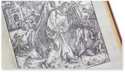 Apocalypse with Pictures by Albrecht Dürer – CM Editores – INC / 1 – Biblioteca Nacional de España (Madrid, Spain)