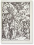 Apocalypse with Pictures by Albrecht Dürer – CM Editores – INC / 1 – Biblioteca Nacional de España (Madrid, Spain)