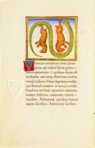 Aratea Vaticana – Müller & Schindler  – MS Barb. lat. 76 – Biblioteca Apostolica Vaticana (Vatican City, Vatican City State)