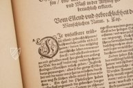 Artzney Book of Christoph Wirsung – Bibliotheca Palatina Faksimile Verlag – Ms. Stamp. Pal. II. 491 – Biblioteca Apostolica Vaticana (Vatican City, Vatican City State)