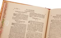 Artzney Book of Christoph Wirsung – Bibliotheca Palatina Faksimile Verlag – Ms. Stamp. Pal. II. 491 – Biblioteca Apostolica Vaticana (Vatican City, Vatican City State)