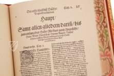 Artzney Book of Christoph Wirsung – Bibliotheca Palatina Faksimile Verlag – Ms. Stamp. Pal. II. 491 – Biblioteca Apostolica Vaticana (Vatican City, Vatican City State)