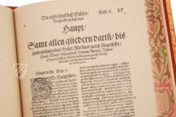 Artzney Book of Christoph Wirsung – Bibliotheca Palatina Faksimile Verlag – Ms. Stamp. Pal. II. 491 – Biblioteca Apostolica Vaticana (Vatican City, Vatican City State)