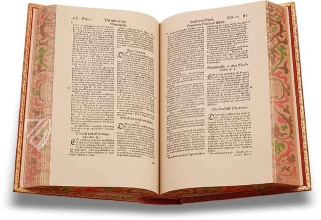 Artzney Book of Christoph Wirsung - Ziereis Facsimiles