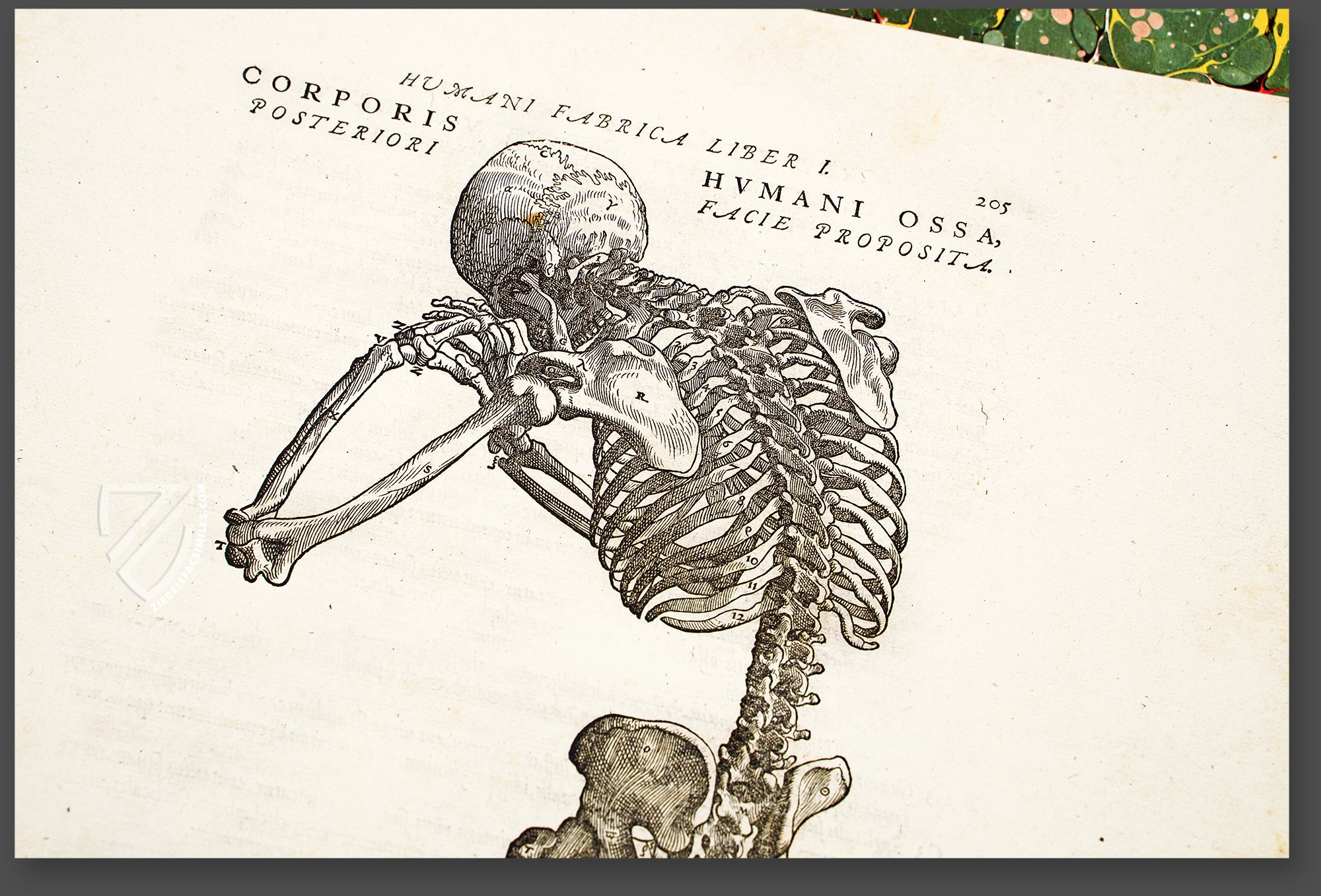 Andreas Vesalius (Physician and Anatomist) - On This Day