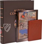 Aurora Consurgens – Millennium Liber – MS Ger. Qu. 848 – Staatsbibliothek Preussischer Kulturbesitz (Berlin, Germany)