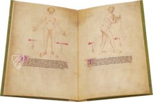 Bartolomeo Squarcialupi - Libro de cauteri – ms. Fanzago 2, I, 5, 28 – Biblioteca Medica Vincenzo Pinali (Padua, Italy) Facsimile Edition