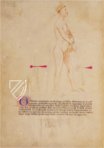 Bartolomeo Squarcialupi - Libro de cauteri – ms. Fanzago 2, I, 5, 28 – Biblioteca Medica Vincenzo Pinali (Padua, Italy) Facsimile Edition