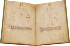 Bartolomeo Squarcialupi - Libro de cauteri – Nova Charta – ms. Fanzago 2, I, 5, 28 – Biblioteca Medica Vincenzo Pinali (Padua, Italy)