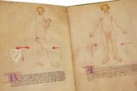 Bartolomeo Squarcialupi - Libro de cauteri – Nova Charta – ms. Fanzago 2, I, 5, 28 – Biblioteca Medica Vincenzo Pinali (Padua, Italy)