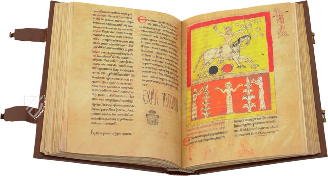 Beatus of Liébana - Lorvao Codex – Cod. 160 – Arquivo Nacional da Torre do Tombo (Lisbon, Portugal) Facsimile Edition