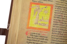 Beatus of Liébana - Lorvao Codex – Cod. 160 – Arquivo Nacional da Torre do Tombo (Lisbon, Portugal) Facsimile Edition