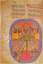 Beatus of Liébana - Manchester Codex – Patrimonio Ediciones – Ms. Lat. 8 – John Rylands Library (Manchester, United Kingdom)