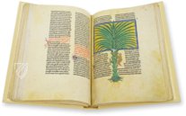 Beatus of Liébana - San Andrés de Arroyo Codex – Nouv. acq. lat. 2290 – Bibliothèque nationale de France (Paris, France) Facsimile Edition