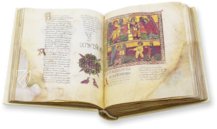 Beatus of Liébana - San Miguel de Escalada Codex – Scriptorium – MS M.644 – The Morgan Library & Museum (New York, USA)