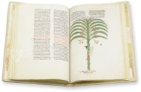 Beatus of Liébana - San Pedro de Cardeña Codex – M. Moleiro Editor – Ms. 2 – Museo Arqueológico Nacional (Madrid, Spain)