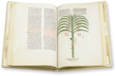 Beatus of Liébana - San Pedro de Cardena Codex – M. Moleiro Editor – Museo Arqueológico Nacional (Madrid, Spain)