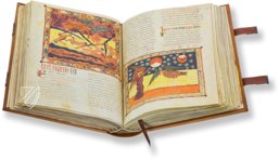 Beatus of Liébana - Valcavado Codex – Testimonio Compañía Editorial – 433 – Biblioteca de la Universidad de Valladolid (Valladolid, Spain)
