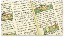 Bernardino da Sahagún: Historia Universal de las cosas de Nueva España – Giunti Editore – Mss. Med. Palat. 218, 219, 220– Biblioteca Medicea Laurenziana (Florence, Italy)