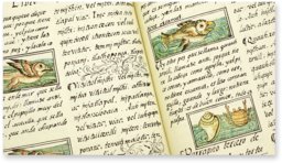 Bernardino da Sahagún: Historia Universal de las cosas de Nueva España – Giunti Editore – Mss. Med. Palat. 218, 219, 220– Biblioteca Medicea Laurenziana (Florence, Italy)