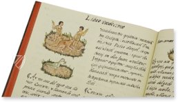 Bernardino da Sahagún: Historia Universal de las cosas de Nueva España – Giunti Editore – Mss. Med. Palat. 218, 219, 220– Biblioteca Medicea Laurenziana (Florence, Italy)