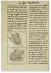 Bernardino da Sahagún: Historia Universal de las cosas de Nueva España – Giunti Editore – Mss. Med. Palat. 218, 219, 220– Biblioteca Medicea Laurenziana (Florence, Italy)