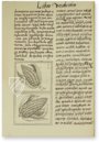 Bernardino da Sahagún: Historia Universal de las cosas de Nueva España – Giunti Editore – Mss. Med. Palat. 218, 219, 220– Biblioteca Medicea Laurenziana (Florence, Italy)
