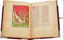 Berry Apocalypse – MS M.133 – Morgan Library & Museum (New York, USA) Facsimile Edition