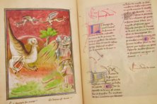 Berry Apocalypse – Müller & Schindler – MS M.133 – The Morgan Library & Museum (New York, USA) Berry Apocalypse – Müller & Schindler – MS M.133 – The Morgan Library & Museum (New York, USA)