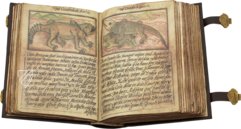 Bestiary of John of Austria – Siloé, arte y bibliofilia – Monasterio de Santa Maria de la Vid (Burgos, Spain)