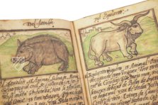 Bestiary of John of Austria – Siloé, arte y bibliofilia – Monasterio de Santa Maria de la Vid (Burgos, Spain)