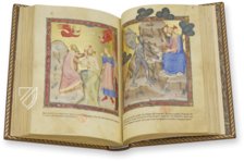 Bible moralisée of Naples – M. Moleiro Editor – Ms. Français 9561 – Bibliothèque nationale de France (Paris, France)