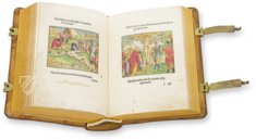 Biblia Veteris Testamenti – Orbis Pictus – 