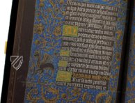 Black Hours – Faksimile Verlag – M. 493 – The Morgan Library & Museum (New York, USA)