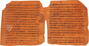 Bodmer VIII Papyrus - Epistles of St. Peter – Testimonio Compañía Editorial – Ex Papyro Bodmeriana VIII Transcriptae P72 – Biblioteca Apostolica Vaticana (Vatican City, State of the Vatican City)