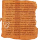 Bodmer VIII Papyrus - Epistles of St. Peter – Testimonio Compañía Editorial – Ex Papyro Bodmeriana VIII Transcriptae P72 – Biblioteca Apostolica Vaticana (Vatican City, State of the Vatican City)