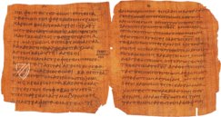 Bodmer VIII Papyrus - Epistles of St. Peter – Testimonio Compañía Editorial – Ex Papyro Bodmeriana VIII Transcriptae P72 – Biblioteca Apostolica Vaticana (Vatican City, Vatican City State)