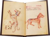 Book of Fixed Stars of Alfonso the Wise – Ms. 78D12 – Kupferstichkabinett Staatliche Museen (Berlin, Germany) Facsimile Edition