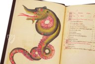 Book of Fixed Stars of Alfonso the Wise – Patrimonio Ediciones – Ms. 78D12 – Kupferstichkabinett (Berlin, Germany)