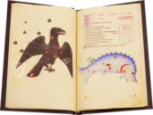 Book of Fixed Stars of Alfonso the Wise – Patrimonio Ediciones – Ms. 78D12 – Kupferstichkabinett (Berlin, Germany)