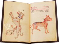 Book of Fixed Stars of Alfonso the Wise – Patrimonio Ediciones – Ms. 78D12 – Kupferstichkabinett (Berlin, Germany)