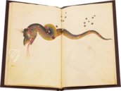 Book of Fixed Stars of Alfonso the Wise – Patrimonio Ediciones – Ms. 78D12 – Kupferstichkabinett (Berlin, Germany)