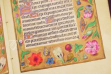 Book of Hours of Alexander VI. Pope Borgia – Patrimonio Ediciones – Ms. IV 480 – KBR (Koninklijke Bibliotheek van België/Bibliothèque royale de Belgique) (Brussels, Belgium)