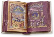 Book of Hours of Cardinal Carafa – ArtCodex – ms. vat. lat. 9490 – Biblioteca Apostolica Vaticana (Vatican City, State of the Vatican City)