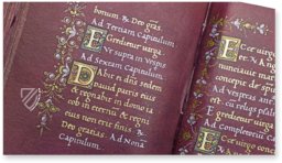 Book of Hours of Cardinal Carafa – ArtCodex – ms. vat. lat. 9490 – Biblioteca Apostolica Vaticana (Vatican City, Vatican City State)