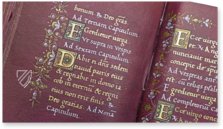 Book of Hours of Cardinal Carafa – ArtCodex – ms. vat. lat. 9490 – Biblioteca Apostolica Vaticana (Vatican City, Vatican City State)